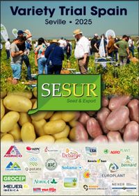 Variety Trial Seville 2025